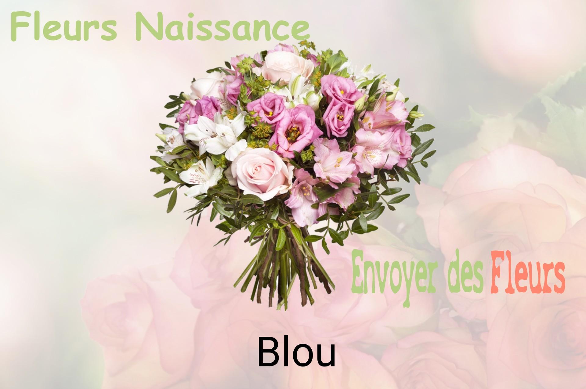 Bouquet de fleurs de naissance livré à Blou